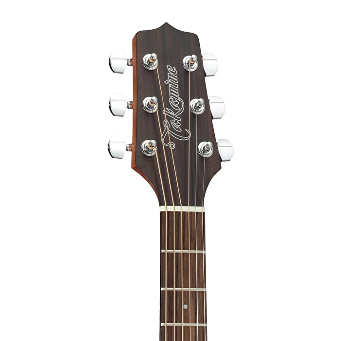 Takamine GD10-NS Akustik Gitar